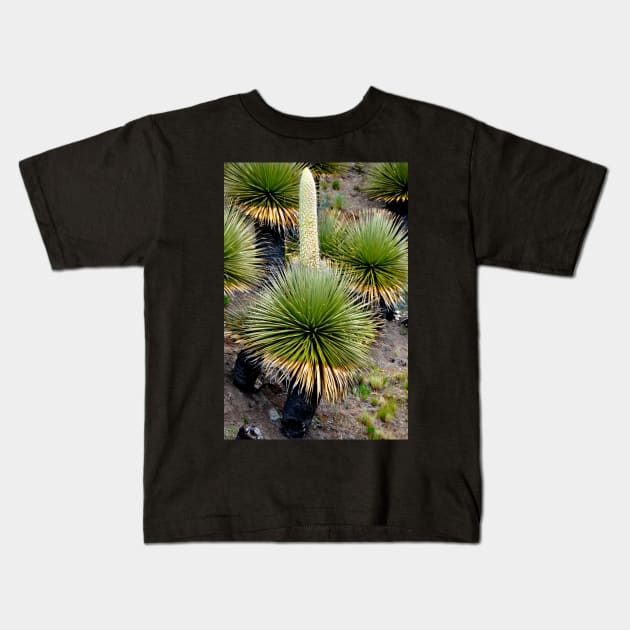 Pérou - Huaraz - Puya  Raymondii Kids T-Shirt by franck380
